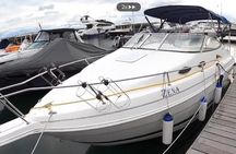 Private Red Sea speedboat Trip from Hurghada Snorkeling & island