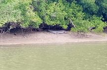 Santubong Wildlife Cruise from Kuching 