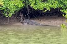 Santubong Wildlife Cruise from Kuching 