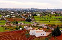 Martina Franca : Exclusive 3 - hour Cooking Class in a Masseria