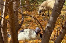 Private Atlas Mountains & Imlil Valley Day Trip from Marrakech