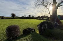 From Dublin: Grange Stone Circle Ireland Ancient and Celtic Sites