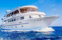 Sharm El Sheikh VIP Ras Mohammed Snorkeling Yacht Trip with Lunch