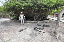  10 Day Galapagos Island Hopping - Full Galapagos Explorer