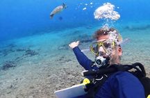 Private Diving Experience – 1 Dive
