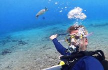 Private Diving Experience – 2 Dives per Person
