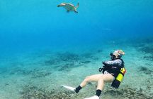 Private Diving Experience – 2 Dives per Person
