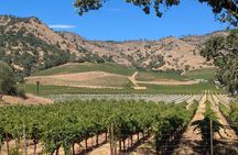 Napa and Sonoma Valley Wine 6 hour Tour from San Francisco