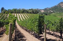 Napa and Sonoma Valley Wine 6 hour Tour from San Francisco