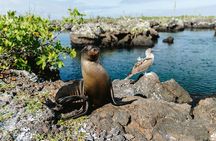  10 Day Galapagos Island Hopping - Full Galapagos Explorer
