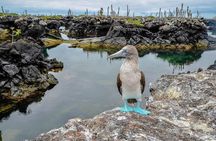 10 Day Galapagos Island Hopping - Full Galapagos Explorer