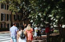 Georgetown Small-Group Historic Walking and Photo Tour, DC