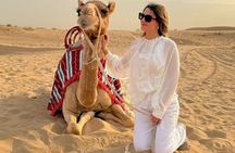 Dubai Desert Safari: 4x4 Pickup/Drop,Camel Ride, BBQ & Live Shows