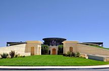 Napa and Sonoma Valley Wine 6 hour Tour from San Francisco