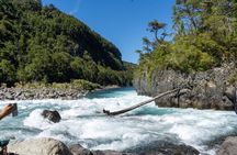 Shore Excursion: Petrohue Waterfalls, Frutillar & Puerto Varas