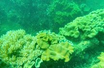 Real snorkel trip by speedboat with small group on Cham island