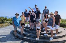 Private Sightseeing Tour from Shimizu Port Medium Bus
