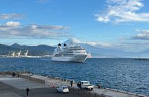 Private Sightseeing Tour from Shimizu Port Medium Bus