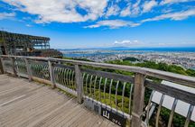 Private Tokushima Shore Excursion : Temples and Scenic Views