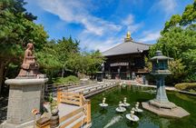 Private Tokushima Shore Excursion : Temples and Scenic Views