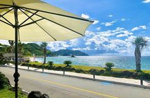 Private Shore Excursion Fukuoka : Itoshima Palm Beach Restaurant 