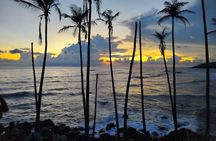 Colombo to Galle Coastal Private Day Tour