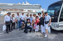 Private Sightseeing Tour from Shimizu Port Medium Bus