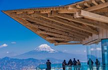Private Sightseeing Tour from Shimizu Port Medium Bus
