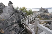Kagoshima Private Shore Excursion Sakurajima and Sengan-en