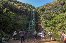 Auckland West Coast Piha Beach, Kitekite Falls & Waitākere Ranges