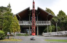 Auckland West Coast Piha Beach, Kitekite Falls & Waitākere Ranges