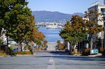 Hakodate Highlights 5 Hours Private Shore Excursion