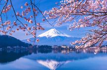 Tokyo: Mt. Fuji 5th Station, Fuji Area & Kawaguchiko 1-Day Tour