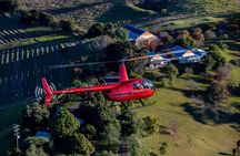 Hunter Valley Scenic Helicopter Flight with Lunch - For 2