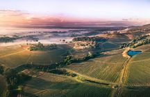 Hunter Valley Scenic Helicopter Flight with Lunch - For 2