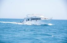 Hurghada Boat trip to Dolphin House and Snorkeling