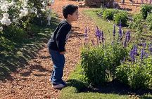 Private Buenos Aires City Tour Major Attractions and Landmarks