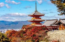 Kyoto Half Day Small Group Tour