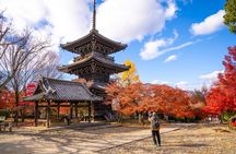 Kyoto Half Day Small Group Tour