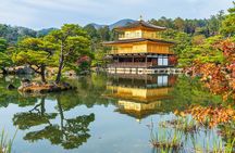 Kyoto Half Day Small Group Tour