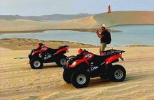 Qatar Desert Safari with Quad Bike Adventure - 250cc 
