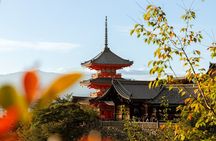 Best of Kyoto Half Day Small Group Tour from Osaka