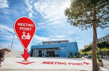 Hop & Taste Slovenian Riviera Hop-On Hop-Off & Local Bites