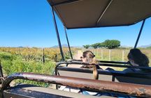 Private Wildlife Game Drive in Stellenbosh with Wine Tasting 