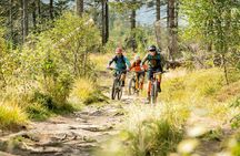 Prague Mountain Biking: Blast Through The Best Singletracks