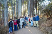 Cusco City Tour with Sacsayhuaman & Coricancha Entrance Tickets