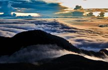 Barú Volcano Hiking Tour