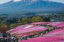 Mount Fuji Full-Day Private Tour with Hotel Pickup (Customizable)