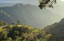 Ella Rock Hiking Tour with Sunrise or Day Options