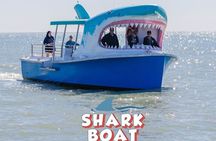 Fireworks Cruise in Destin Harbor aboard the SharkBoat 